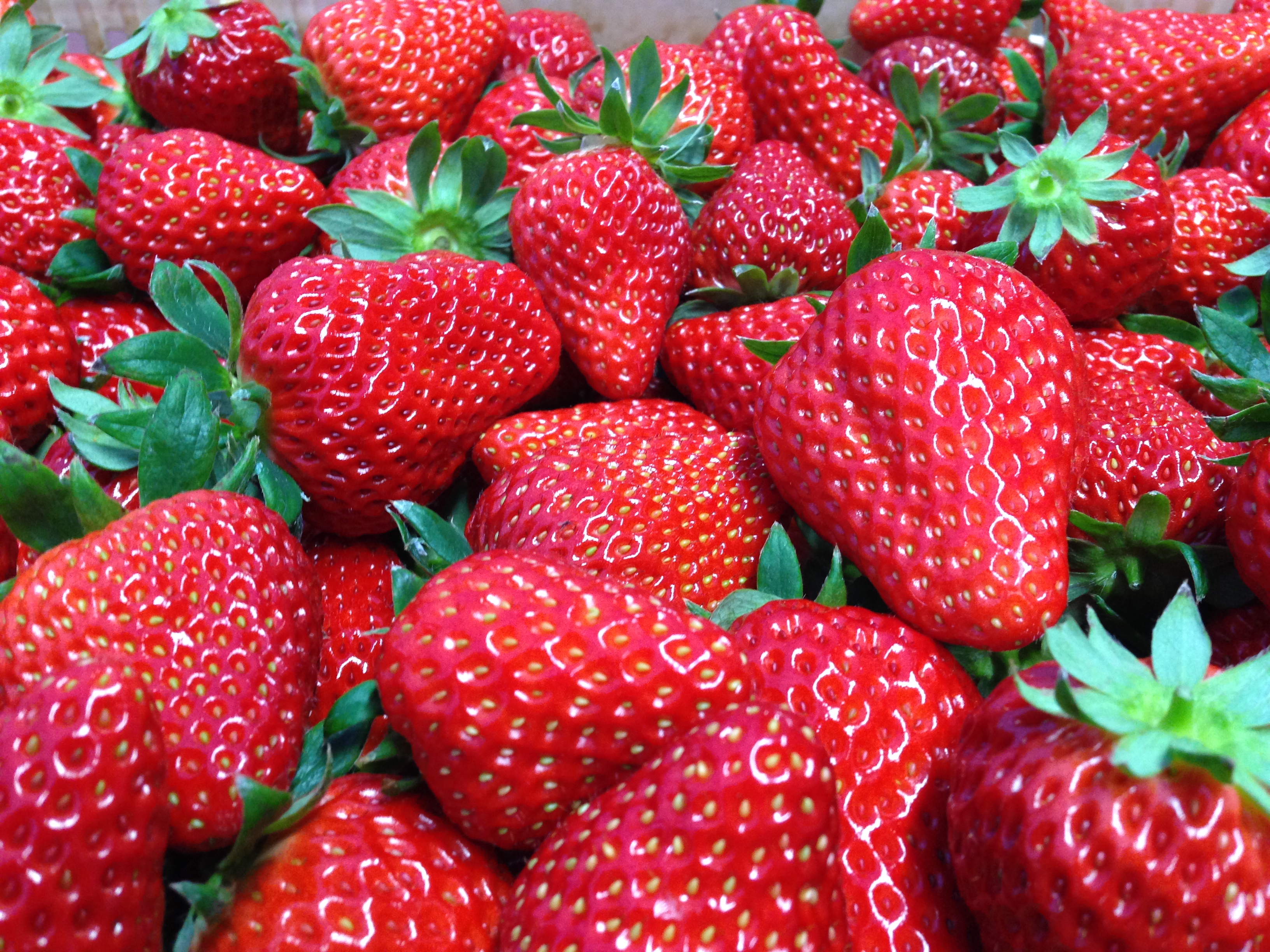 I採りたていちご